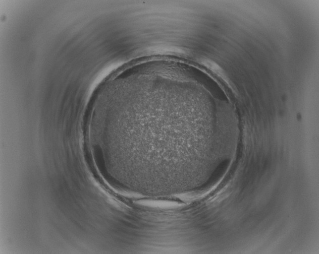 X0000074321024200609082002