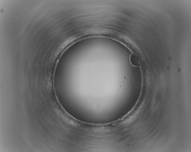 X0000074321025200609082002