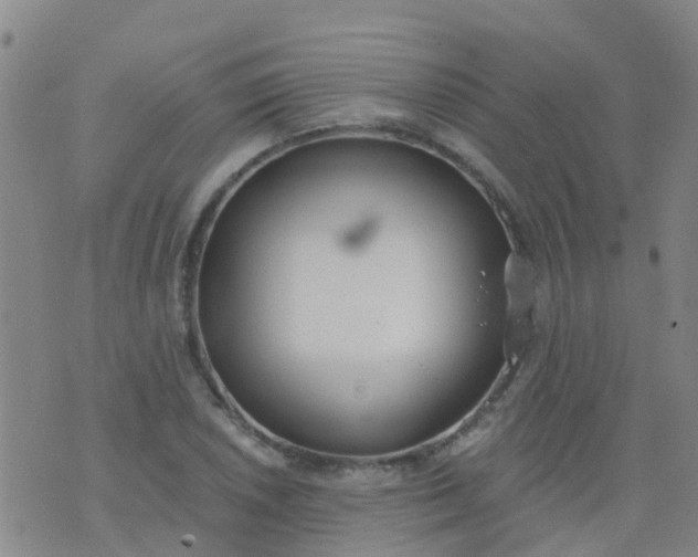 X0000074321026200609082002