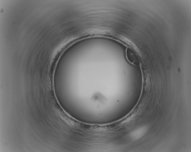 X0000074321027200609082002