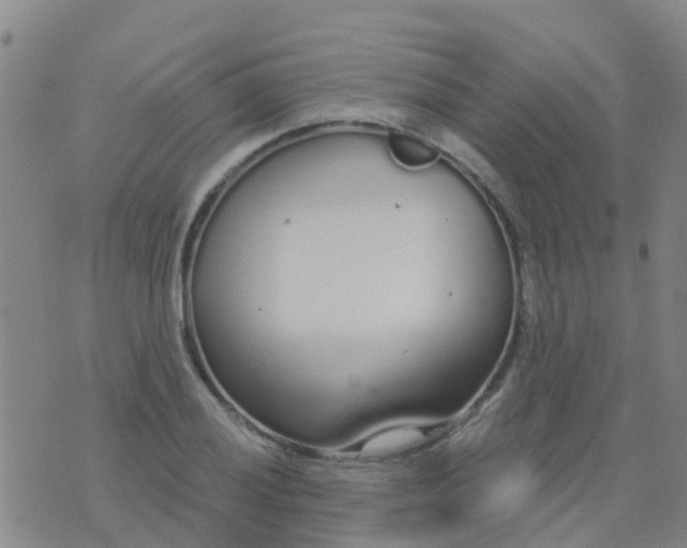 X0000074321028200609082002