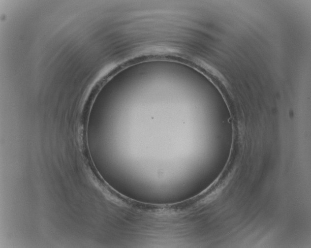 X0000074321029200609082002