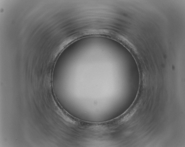 X0000074321033200609082002