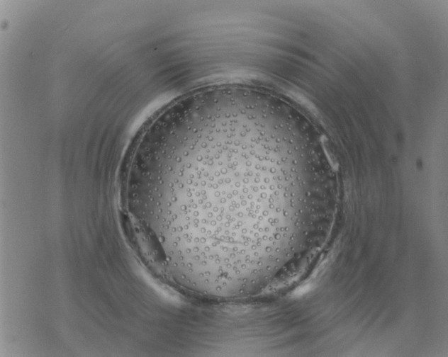 X0000074321034200609082002