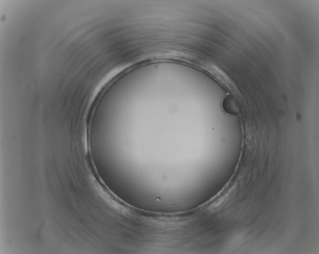 X0000074321036200609082002