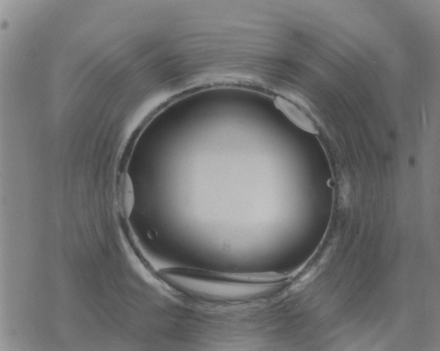 X0000074321038200609082002