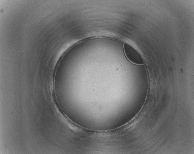 X0000074321040200609082002