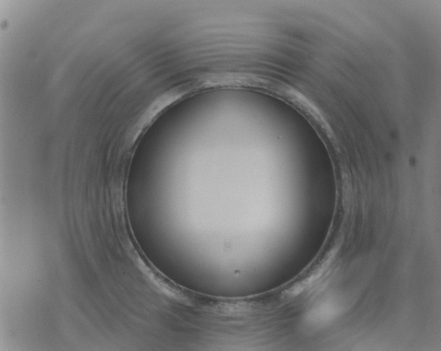 X0000074321041200609082002