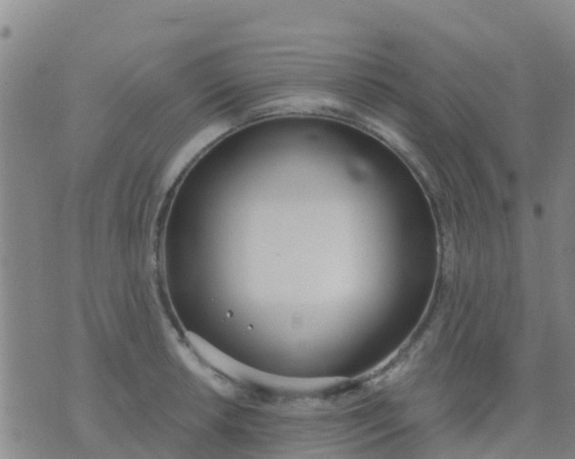 X0000074321042200609082002