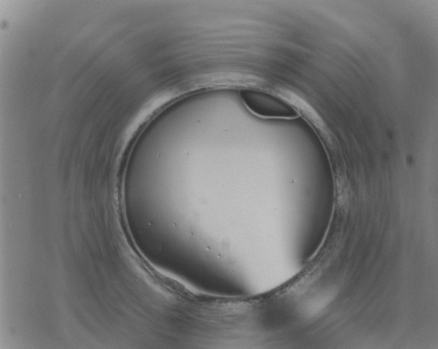 X0000074321043200609082002