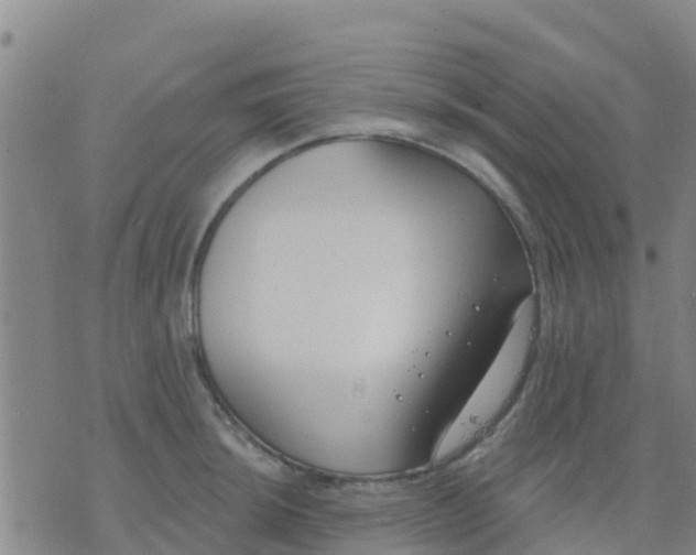 X0000074321044200609082002