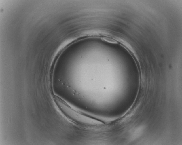 X0000074321045200609082002