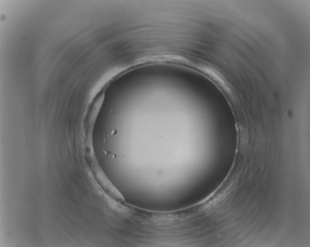 X0000074321046200609082002