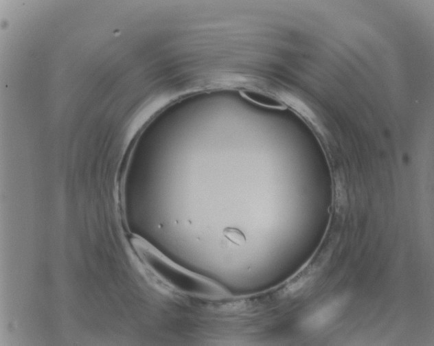 X0000074321047200609082002