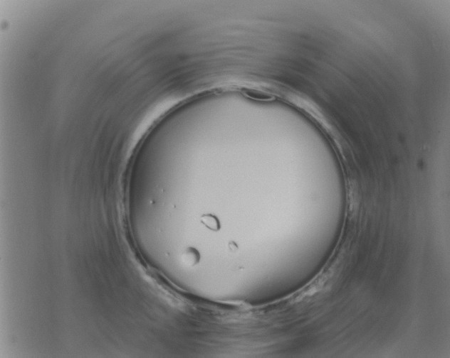 X0000074321048200609082002