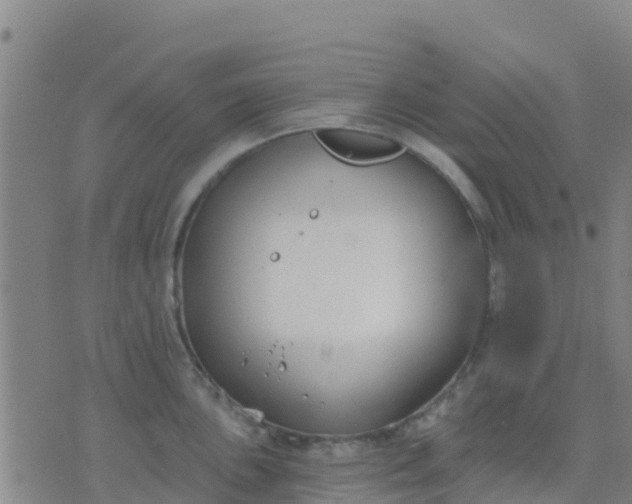 X0000074321051200609082002