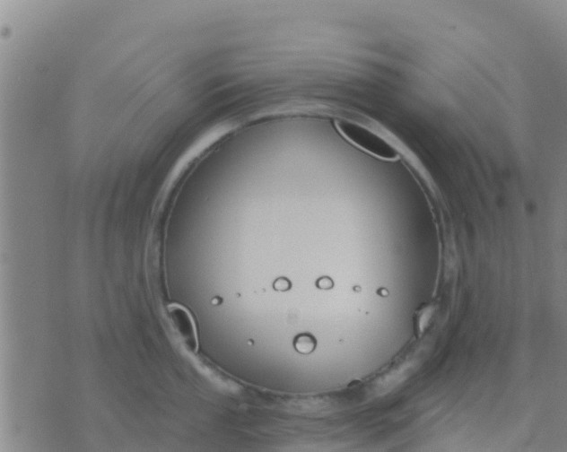 X0000074321053200609082002