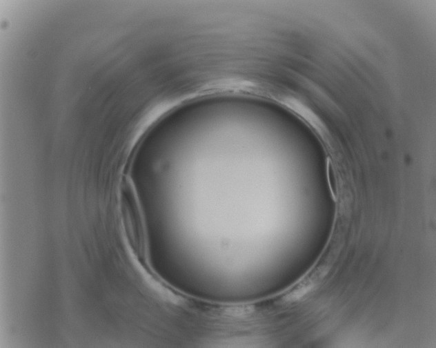 X0000074321055200609082002