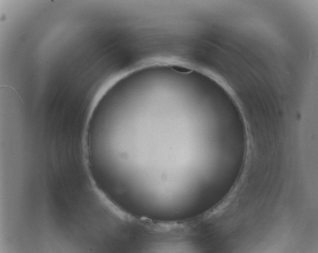 X0000074321056200609082002