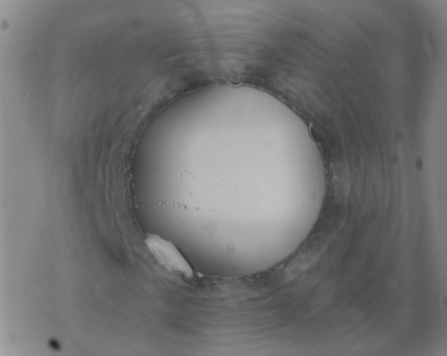 X0000074321057200609082001