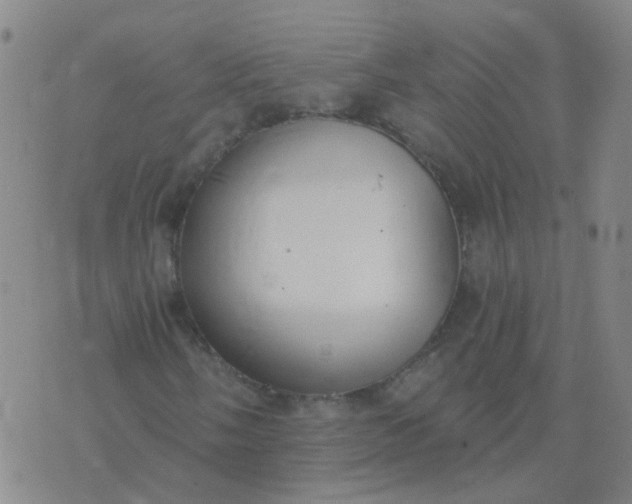 X0000074321058200609082001