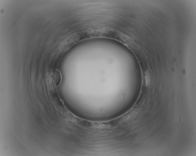 X0000074321059200609082001