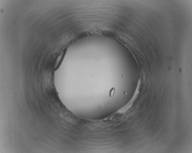 X0000074321060200609082001