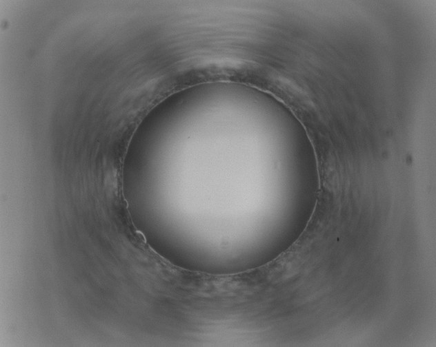 X0000074321061200609082001