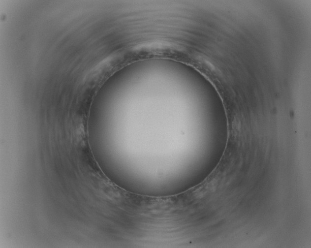 X0000074321062200609082001