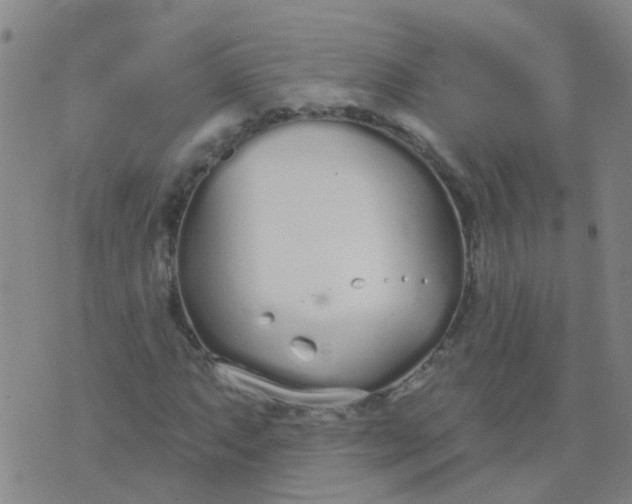 X0000074321063200609082001