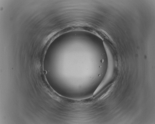 X0000074321065200609082001