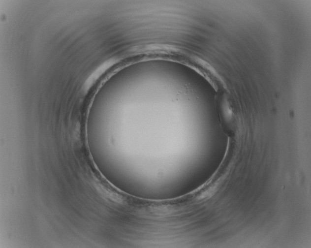 X0000074321066200609082001