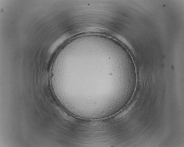 X0000074321067200609082001