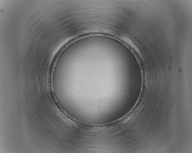 X0000074321068200609082001