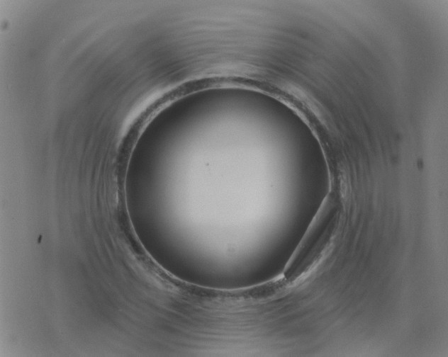 X0000074321069200609082001