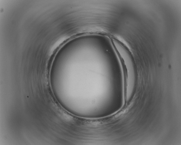 X0000074321071200609082001