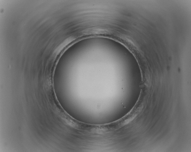 X0000074321073200609082001