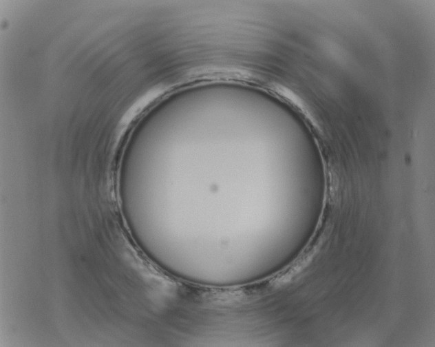 X0000074321074200609082001