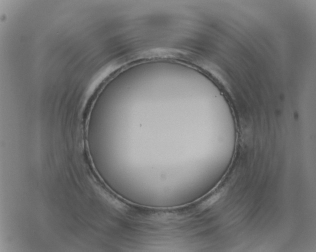 X0000074321075200609082001