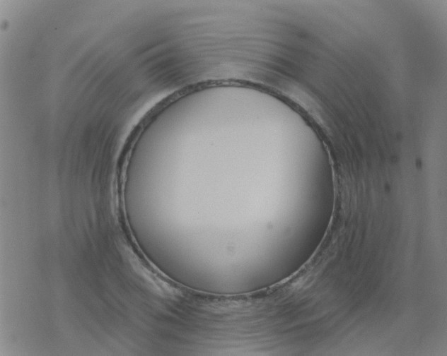 X0000074321076200609082001