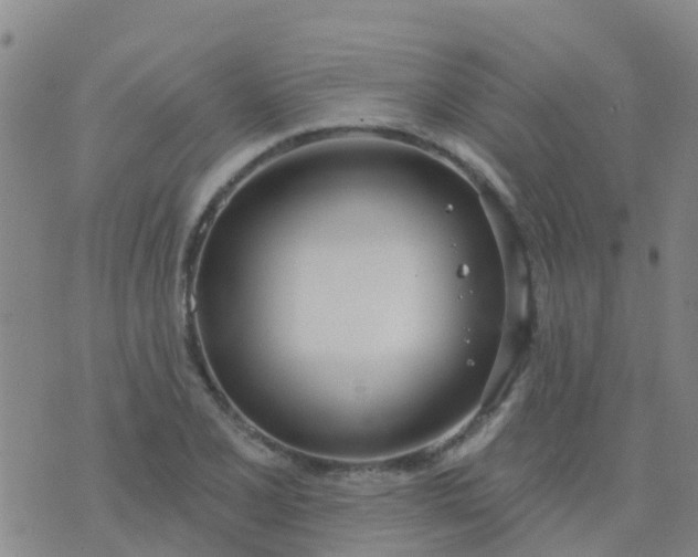 X0000074321077200609082001