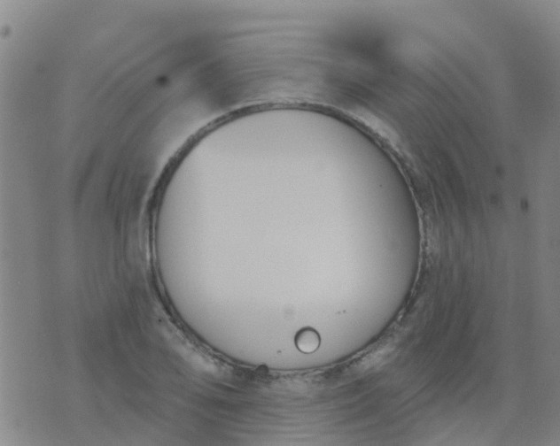 X0000074321078200609082001