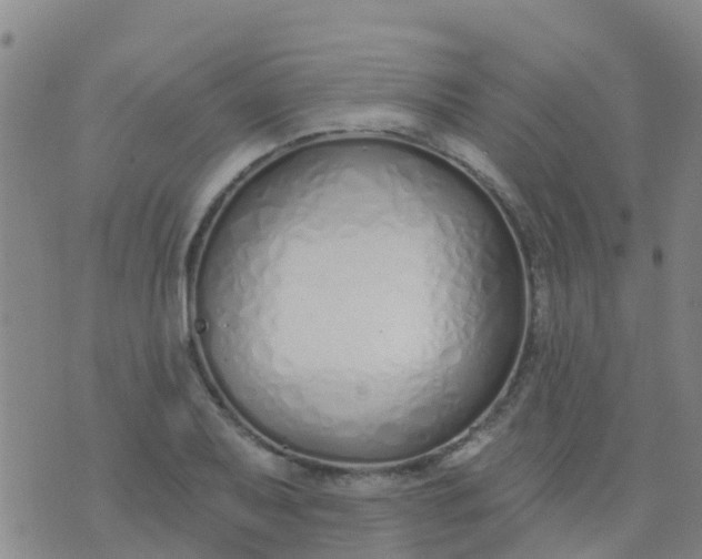 X0000074321079200609082001