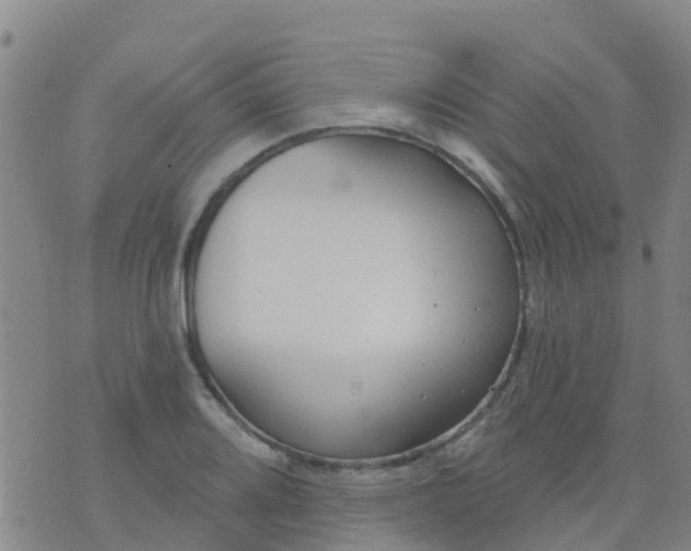 X0000074321080200609082001