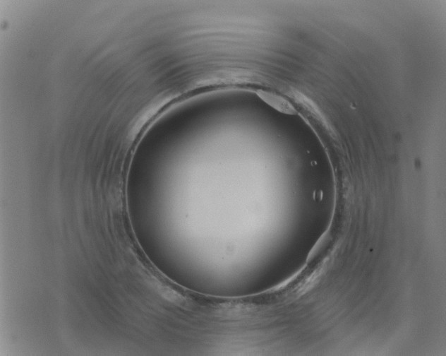 X0000074321081200609082001