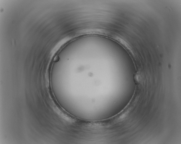 X0000074321082200609082001