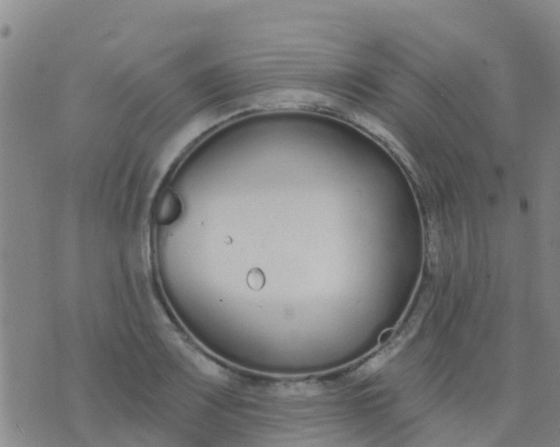 X0000074321083200609082001