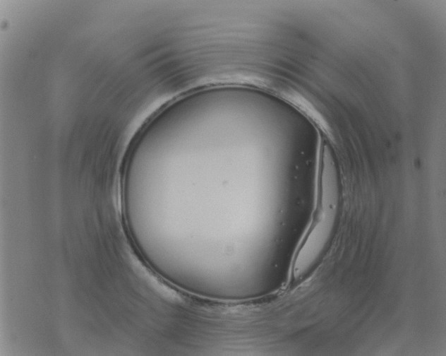 X0000074321084200609082001