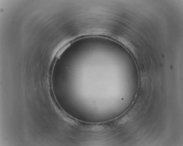 X0000074321085200609082001