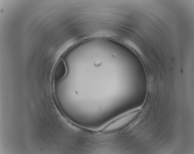 X0000074321087200609082001